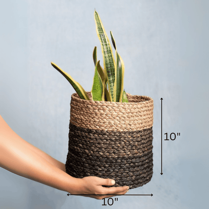Handmade Sabai Grass Planter – Pots & Planters by Kadam Haat available on Brown Living™. Black Large. SKU: SBL42NATBLKLD - NEW. Img 12.