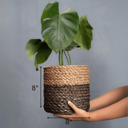 Handmade Sabai Grass Planter – Pots & Planters by Kadam Haat available on Brown Living™. Black Small. SKU: SBS42NATBLKLD - NEW. Img 11.