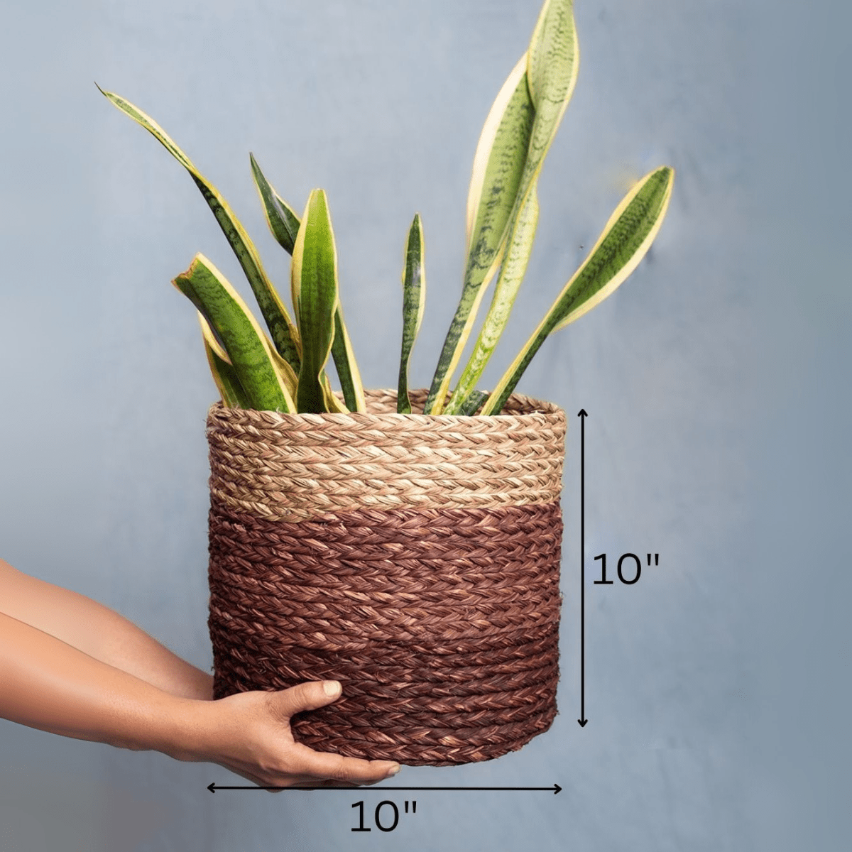 Handmade Sabai Grass Planter – Pots & Planters by Kadam Haat available on Brown Living™. Brown Large. SKU: SBL42NATBRNLD - NEW. Img 9.