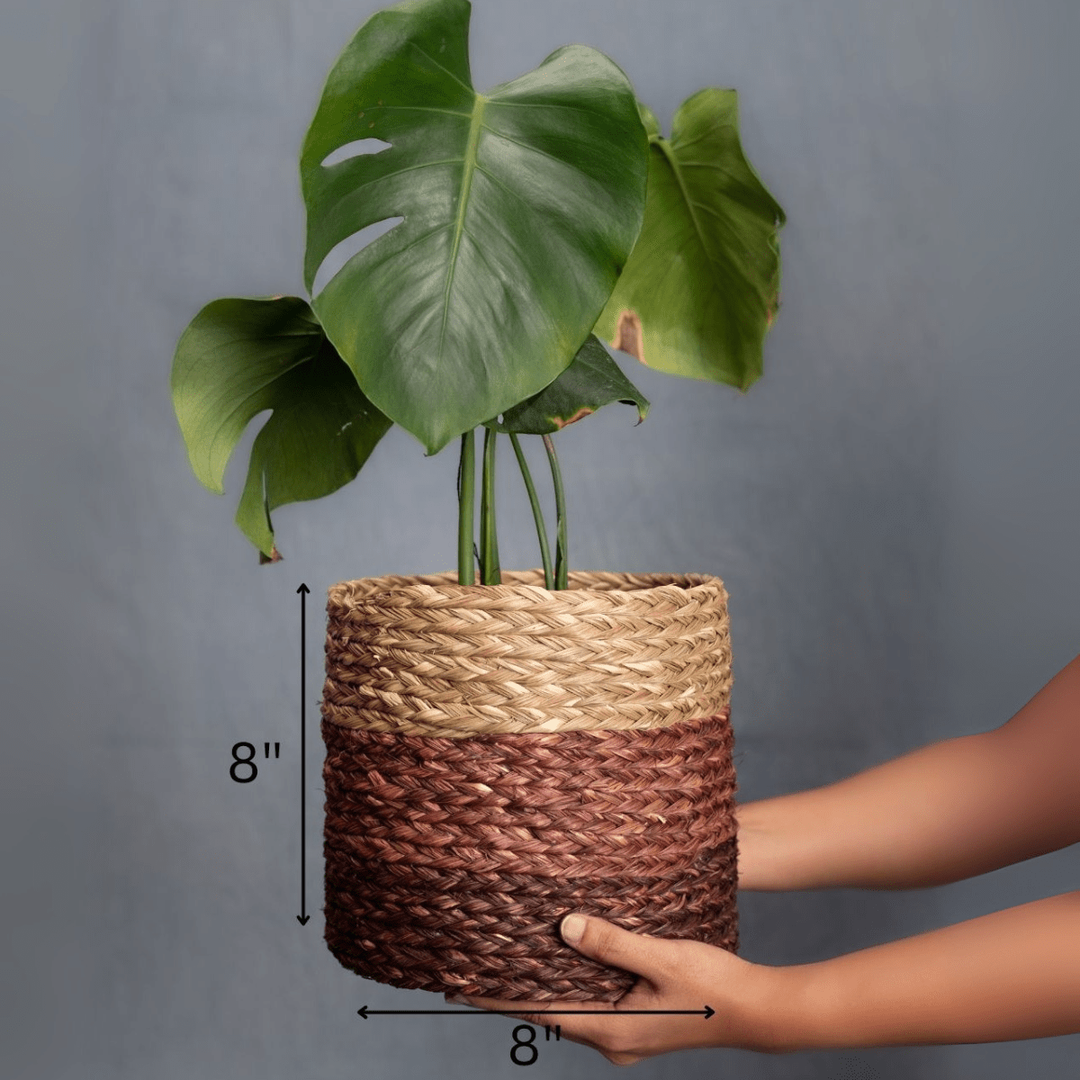 Handmade Sabai Grass Planter – Pots & Planters by Kadam Haat available on Brown Living™. Brown Small. SKU: SBS42NATBRNLD - NEW. Img 10.