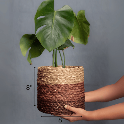 Handmade Sabai Grass Planter – Pots & Planters by Kadam Haat available on Brown Living™. Brown Small. SKU: SBS42NATBRNLD - NEW. Img 10.
