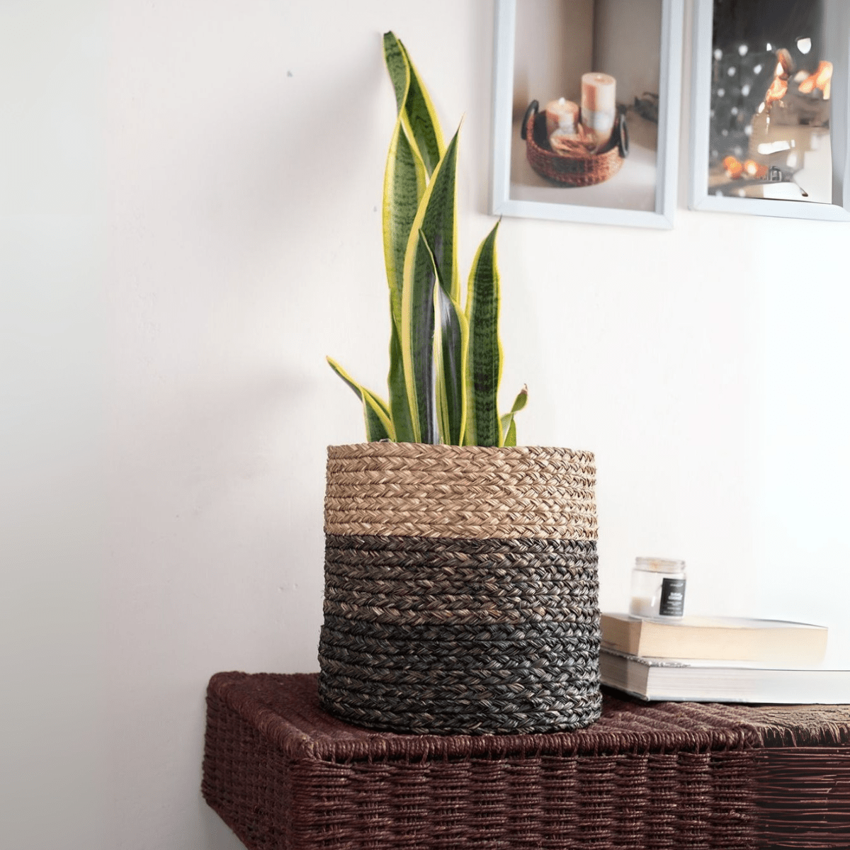 Handmade Sabai Grass Planter – Pots & Planters by Kadam Haat available on Brown Living™. Natural Small. SKU: SBS42NAT - NEW. Img 16.