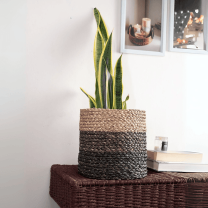 Handmade Sabai Grass Planter – Pots & Planters by Kadam Haat available on Brown Living™. Natural Small. SKU: SBS42NAT - NEW. Img 16.