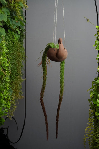 Handmade Terracotta Hanging Planter Duck | Verified Sustainable by Brown Living™