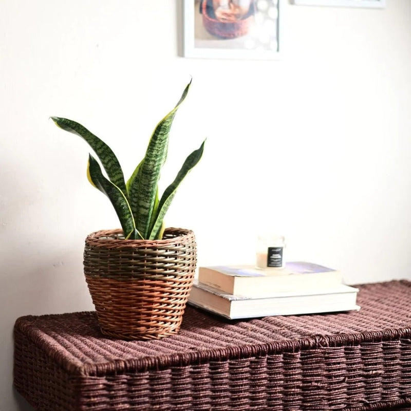 Handmade Wicker Planter Green | Verified Sustainable Pots & Planters on Brown Living™