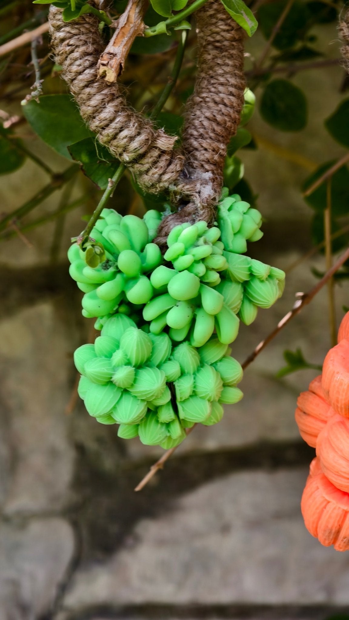 Hanging Soap Bunches | Handmade Decorative Bath Soap Set – Body Soap on Brown Living™. SKU: sclnts01. Img 3.