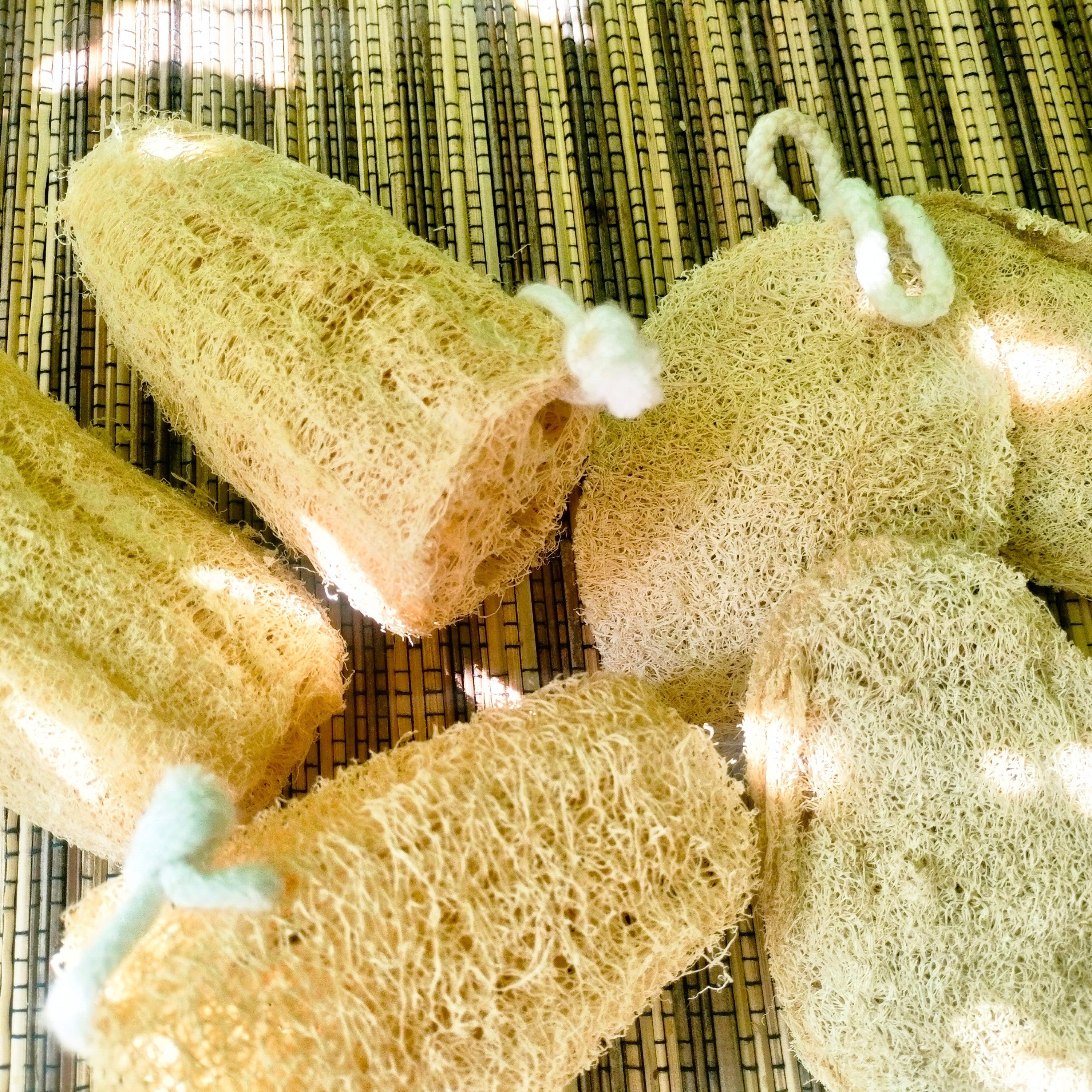 Nalungu Maavu Handmade Bath Soap with Loofah