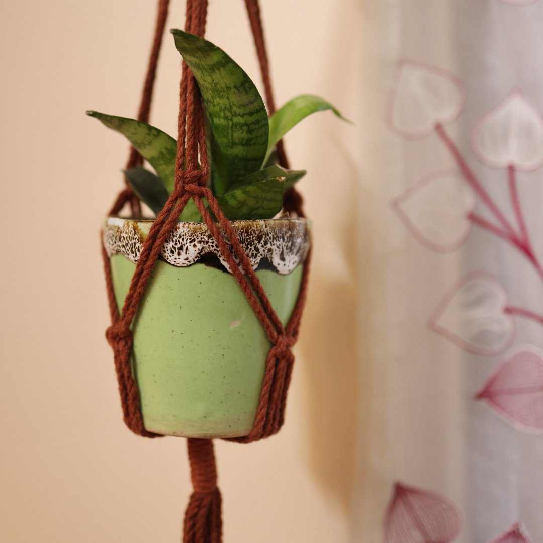 Helical Brown Macrame Plant Holder | Verified Sustainable by Brown Living™