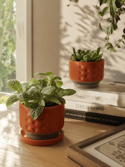 Hexa Deco Terracotta Planter Set of 2 – Pots & Planters on Brown Living™. SKU: PLT-HXD/2. Img 1.