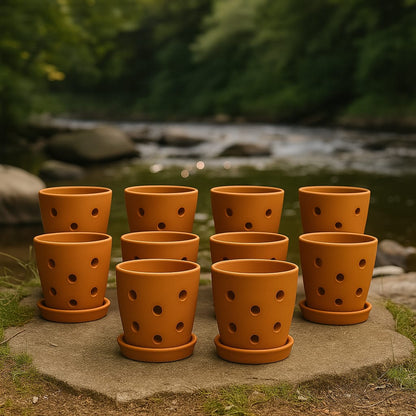 Hexagonal Orchid Planter 4 Inch | Indoor Decorative Pot – Home & Garden on Brown Living™. SKU: PL21-10E. Img 17.