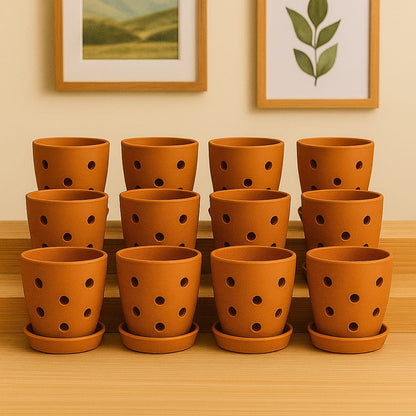 Hexagonal Orchid Planter 4 Inch | Indoor Decorative Pot – Home & Garden on Brown Living™. SKU: PL21-12F. Img 16.