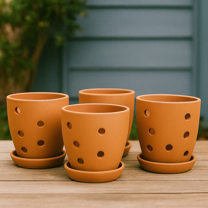 Hexagonal Orchid Planter 4 Inch | Indoor Decorative Pot – Home & Garden on Brown Living™. SKU: PL21-4B. Img 1.