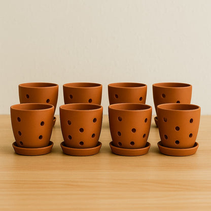 Hexagonal Orchid Planter 4 Inch | Indoor Decorative Pot – Home & Garden on Brown Living™. SKU: PL21-4B. Img 3.