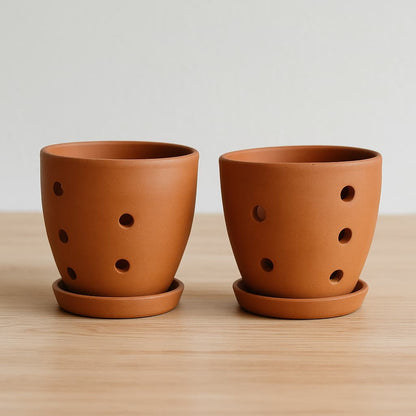 Hexagonal Orchid Planter 4 Inch | Indoor Decorative Pot – Home & Garden on Brown Living™. SKU: PL21-6C. Img 14.