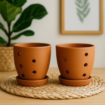 Hexagonal Orchid Planter 4 Inch | Indoor Decorative Pot – Home & Garden on Brown Living™. SKU: PL21-6C. Img 10.