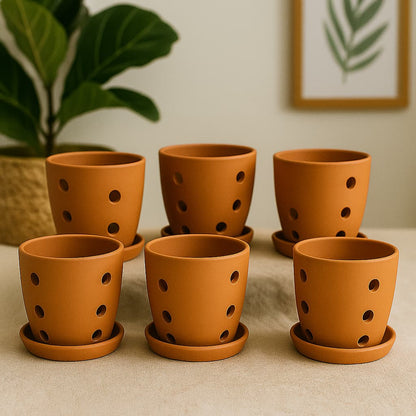 Hexagonal Orchid Planter 4 Inch | Indoor Decorative Pot – Home & Garden on Brown Living™. SKU: PL21-6C. Img 8.