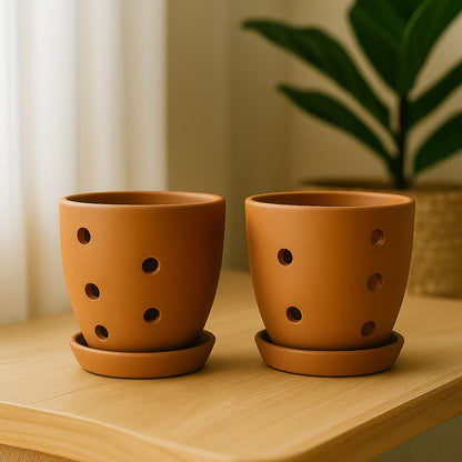 Hexagonal Orchid Planter 4 Inch | Indoor Decorative Pot – Home & Garden on Brown Living™. SKU: PL21-6C. Img 13.