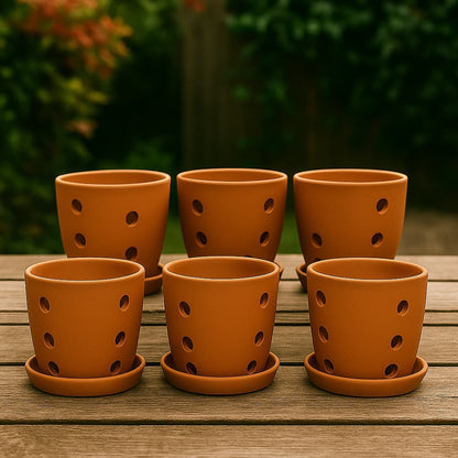 Hexagonal Orchid Planter 4 Inch | Indoor Decorative Pot – Home & Garden on Brown Living™. SKU: PL21-8D. Img 7.