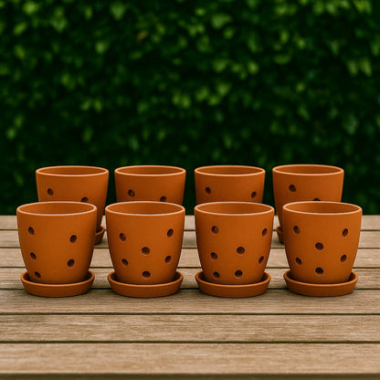 Hexagonal Orchid Planter 4 Inch | Indoor Decorative Pot – Home & Garden on Brown Living™. SKU: PL21-8D. Img 4.