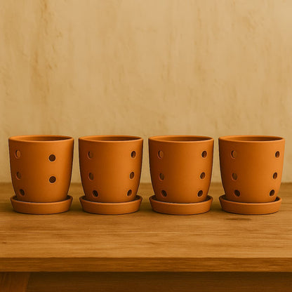 Hexagonal Orchid Planter 4 Inch | Indoor Decorative Pot – Home & Garden on Brown Living™. SKU: PL21-8D. Img 6.