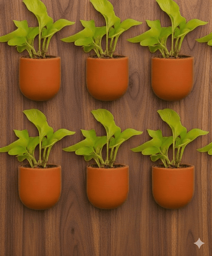 Hexane 4 Inch Terracotta Wall Planter | Hanging Wall Pot – Home & Garden on Brown Living™. SKU: PL26-10. Img 3.