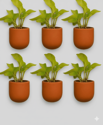 Hexane 4 Inch Terracotta Wall Planter | Hanging Wall Pot – Home & Garden on Brown Living™. SKU: PL26-10. Img 5.