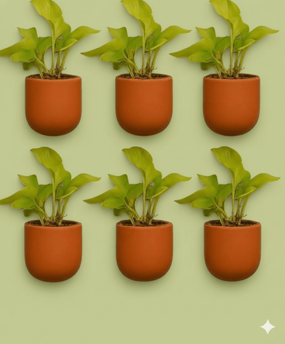Hexane 4 Inch Terracotta Wall Planter | Hanging Wall Pot – Home & Garden on Brown Living™. SKU: PL26-10. Img 4.