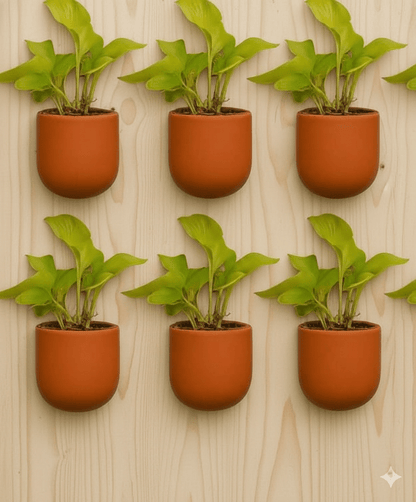 Hexane 4 Inch Terracotta Wall Planter | Hanging Wall Pot – Home & Garden on Brown Living™. SKU: PL26-10. Img 2.