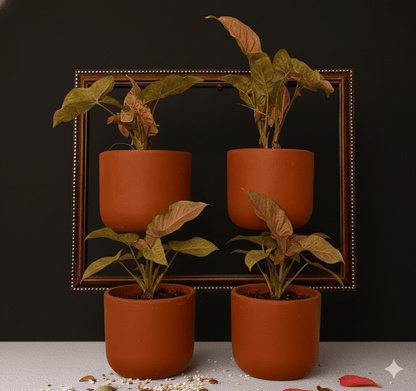 Hexane 4 Inch Terracotta Wall Planter | Hanging Wall Pot – Home & Garden on Brown Living™. SKU: PL26-12. Img 19.