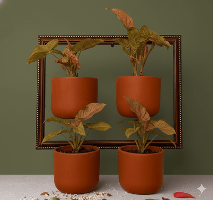 Hexane 4 Inch Terracotta Wall Planter | Hanging Wall Pot – Home & Garden on Brown Living™. SKU: PL26-12. Img 18.