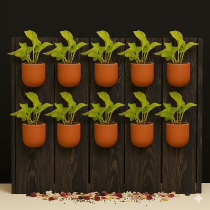 Hexane 4 Inch Terracotta Wall Planter | Hanging Wall Pot – Home & Garden on Brown Living™. SKU: PL26-6. Img 12.