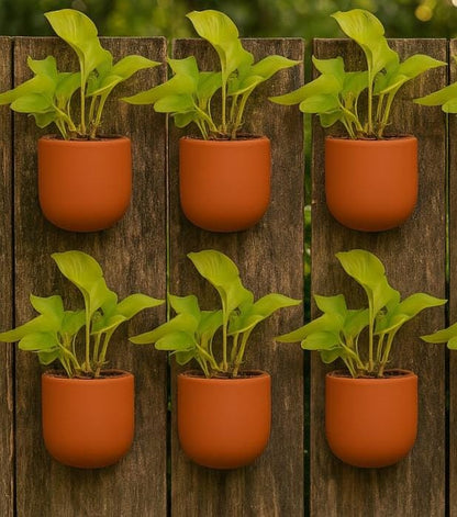Hexane 4 Inch Terracotta Wall Planter | Hanging Wall Pot – Home & Garden on Brown Living™. SKU: PL26-6. Img 11.