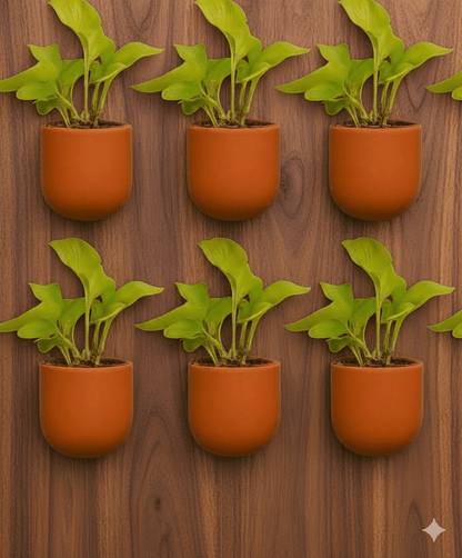 Hexane 4 Inch Terracotta Wall Planter | Hanging Wall Pot – Home & Garden on Brown Living™. SKU: PL26-8. Img 8.