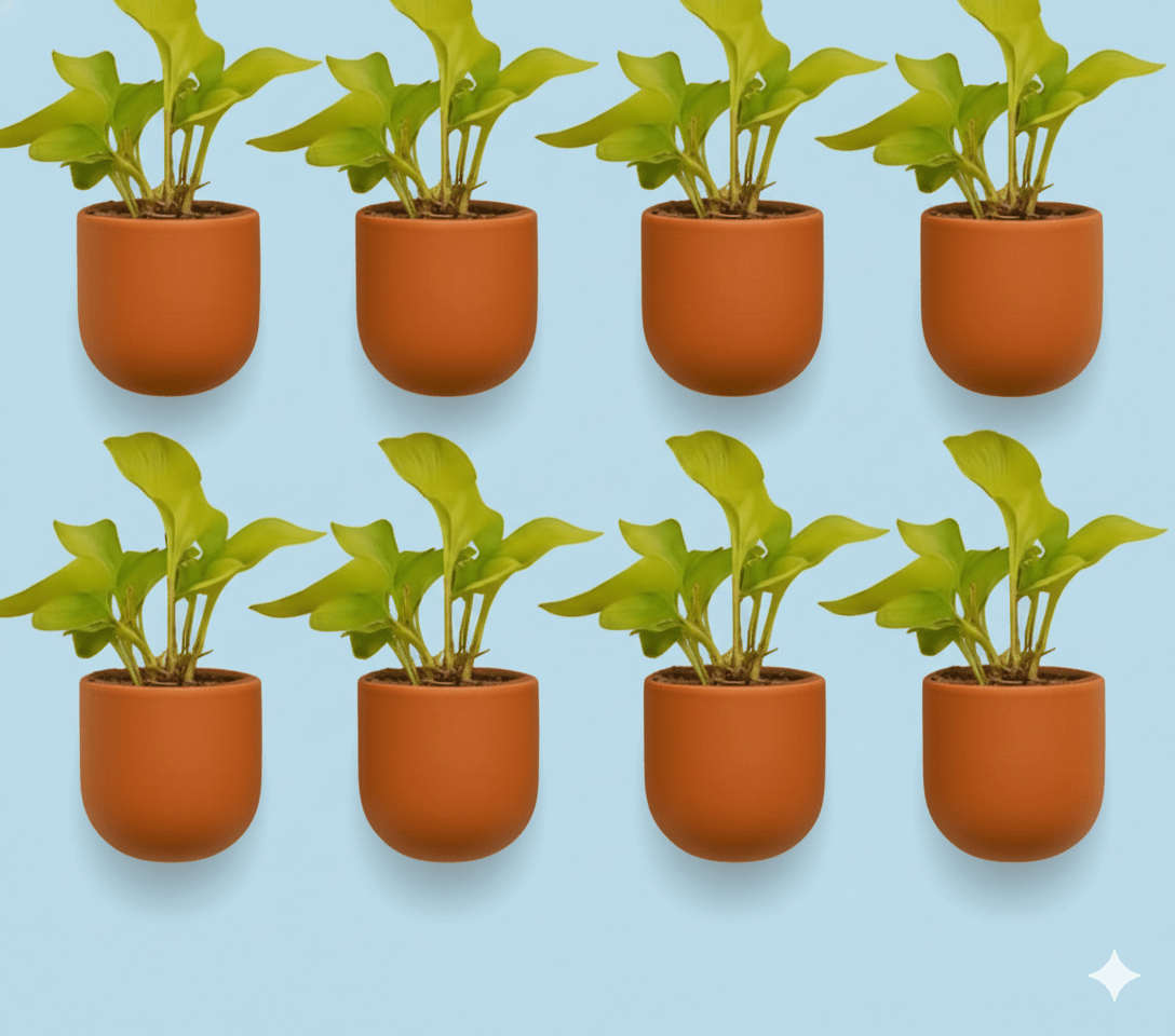 Hexane 4 Inch Terracotta Wall Planter | Hanging Wall Pot – Home & Garden on Brown Living™. SKU: PL26-8. Img 7.