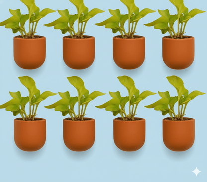 Hexane 4 Inch Terracotta Wall Planter | Hanging Wall Pot – Home & Garden on Brown Living™. SKU: PL26-8. Img 7.