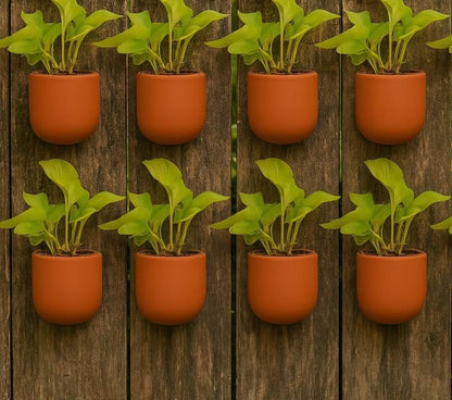 Hexane 4 Inch Terracotta Wall Planter | Hanging Wall Pot – Home & Garden on Brown Living™. SKU: PL26-8. Img 10.