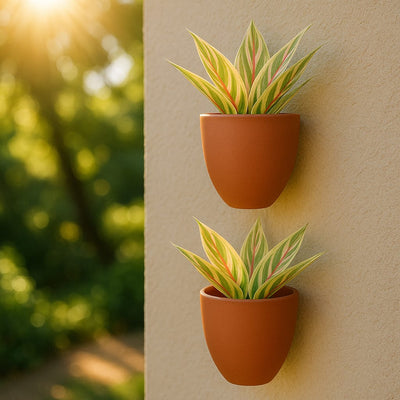 Hexane Wall Planter Small 4 Inch | Terracotta Hanging Wall Planter – Home & Garden on Brown Living™. SKU: PL28-2. Img 25.