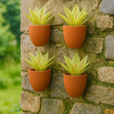 Hexane Wall Planter Small 4 Inch | Terracotta Hanging Wall Planter – Home & Garden on Brown Living™. SKU: PL28-2. Img 24.