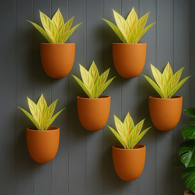 Hexane Wall Planter Small 4 Inch | Terracotta Hanging Wall Planter – Home & Garden on Brown Living™. SKU: PL28-6. Img 16.