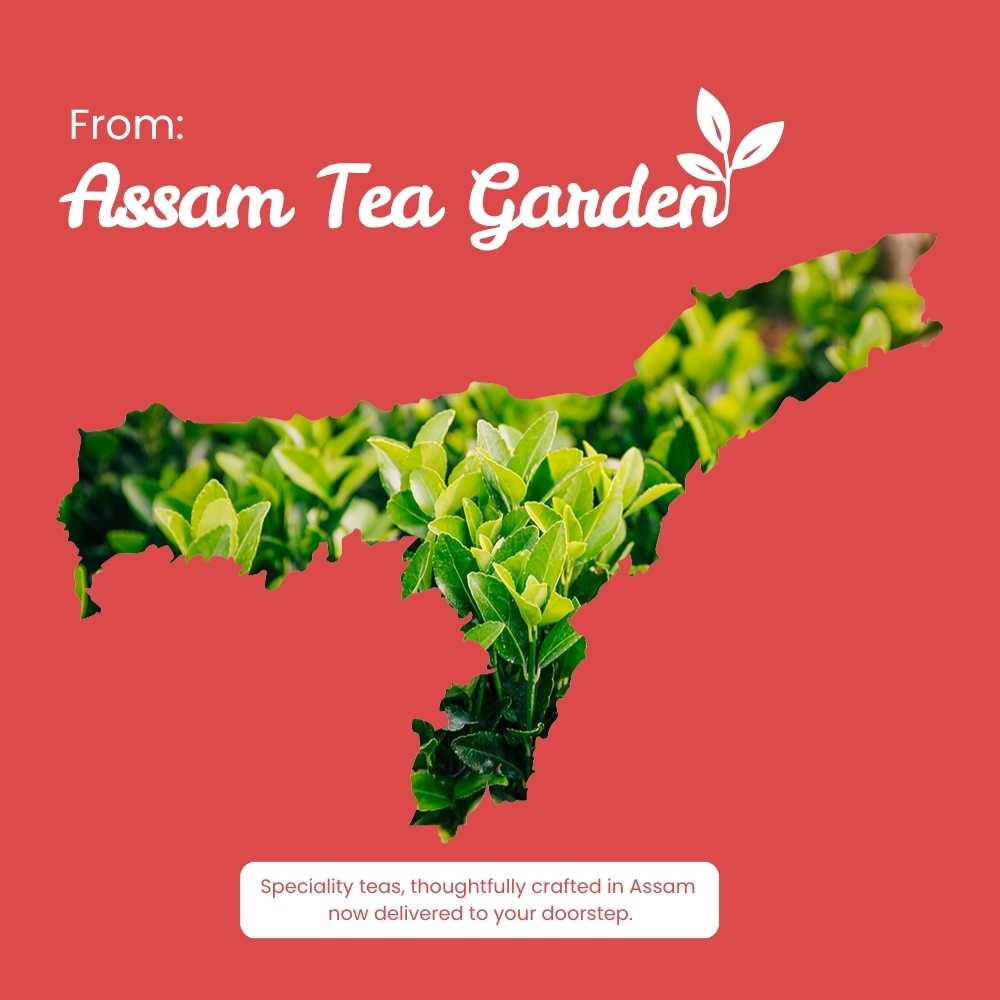 Hibiscus Green Tea – Aids Digestion & Weight Loss – 50g – Tea on Brown Living™. SKU: KMCTin50New. Img 10.