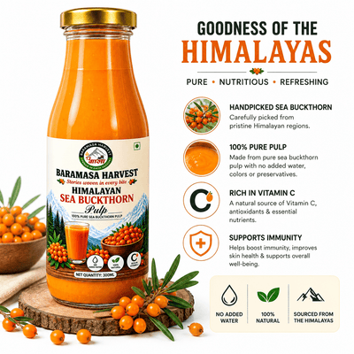 Himalayan Sea Buckthorn Pulp – 300ml – Fruit Juices, Drinks & Concentrates on Brown Living™. SKU: BH-SBP-300. Img 3.