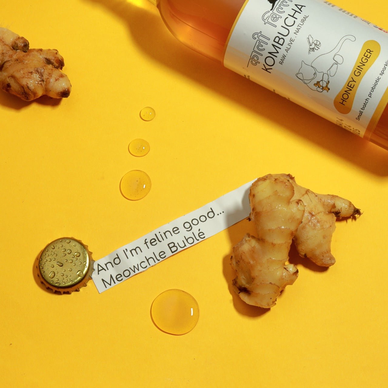 Honey Ginger Kombucha (250ml) | Raw, Naturally Fermented Probiotic Drink – Health & Energy Drinks on Brown Living™. SKU: KBKGH. Img 5.