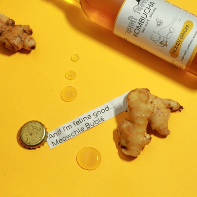 Honey Ginger Kombucha (250ml) | Raw, Naturally Fermented Probiotic Drink – Health & Energy Drinks on Brown Living™. SKU: KBKGH. Img 5.