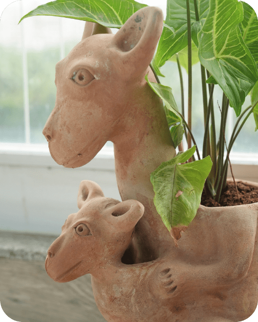 Hoppy Kangaroo Earthen Planter – Pots & Planters by Swadeh available on Brown Living™. . SKU: A0_plt_0026. Img 2.