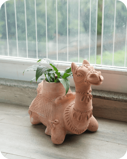 Hump Camel Earthen Planter – Pots & Planters by Swadeh available on Brown Living™. . SKU: A0_plt_0024. Img 1.