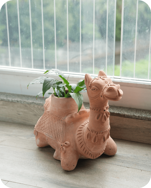 Hump Camel Earthen Planter – Pots & Planters by Swadeh available on Brown Living™. . SKU: A0_plt_0024. Img 1.