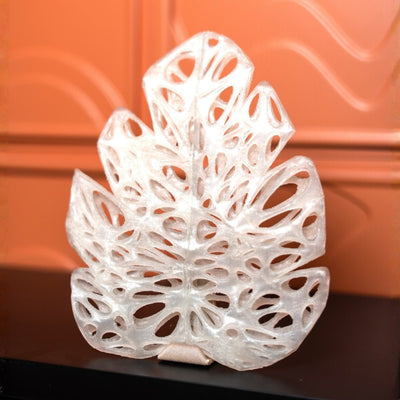 Hutch Leaf Plant - Based Natural Colorless Tray – Home Decor on Brown Living™. SKU: HULEEDPLNCA019. Img 1.