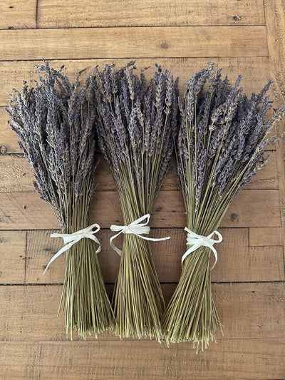 Lavender Fragrance Decor Accent