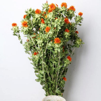 Dried Safflower - Rustic Natural Decor Bunch