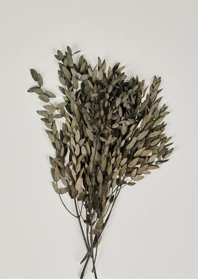 Light Green Eucalyptus - Fresh Look Home Decor